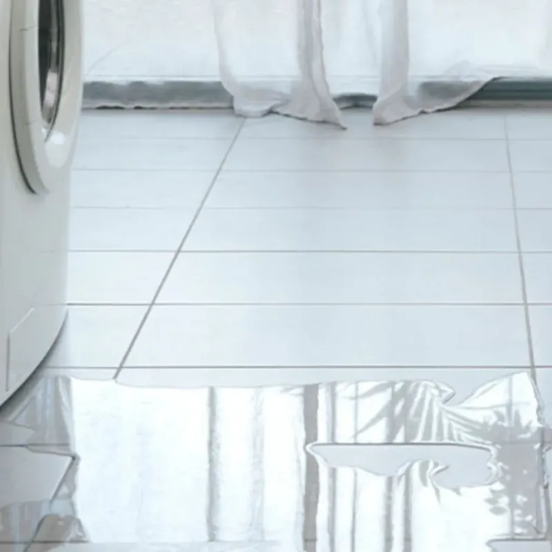 Appliance Leak Cleanup in Champaign, IL