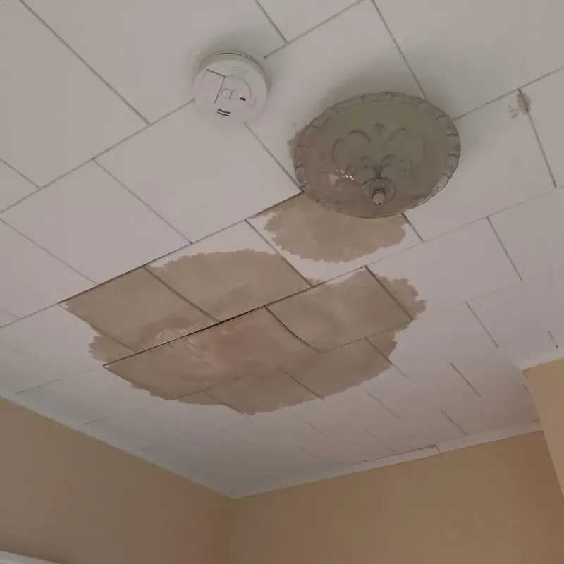 Ceiling Water Damage Repair in Champaign, IL