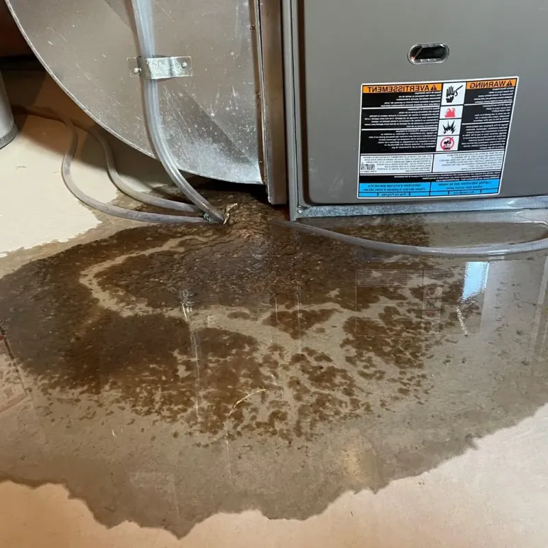 Pipe Burst and Leak Restoration in Champaign, IL