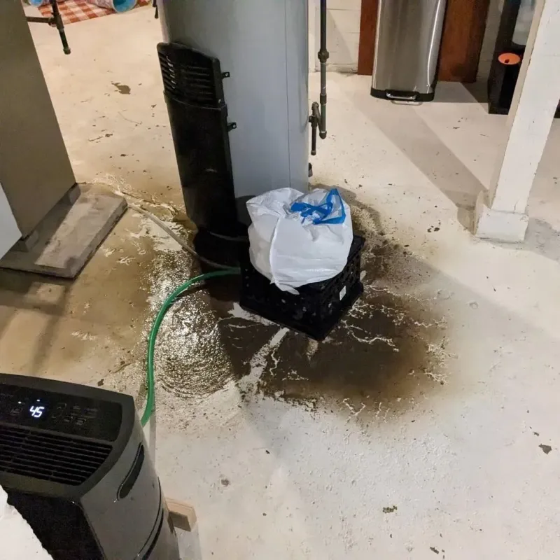 Sewage Backup Cleanup Service in Champaign, IL